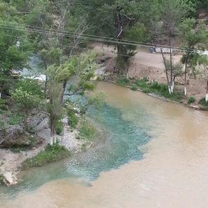 Meet your Posher, Luis